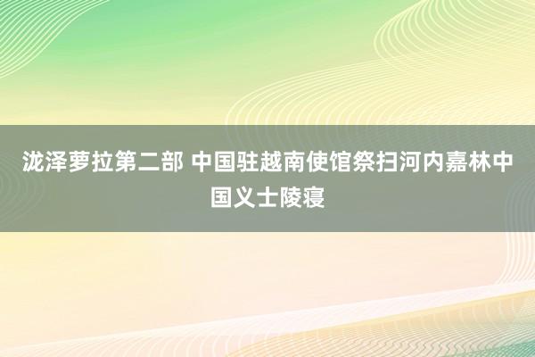 泷泽萝拉第二部 中国驻越南使馆祭扫河内嘉林中国义士陵寝