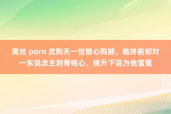 黑丝 porn 武则天一世狼心狗肺，临终前却对一东说念主刻骨铭心，挑升下诏为他雪冤