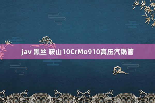 jav 黑丝 鞍山10CrMo910高压汽锅管