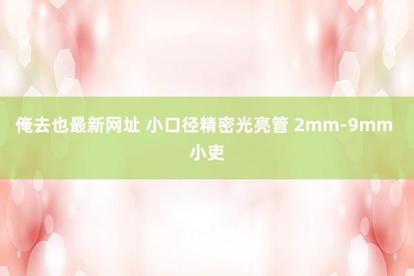 俺去也最新网址 小口径精密光亮管 2mm-9mm 小吏