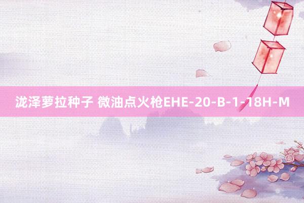 泷泽萝拉种子 微油点火枪EHE-20-B-1-18H-M