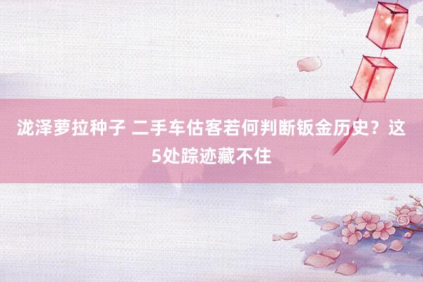 泷泽萝拉种子 二手车估客若何判断钣金历史？这5处踪迹藏不住