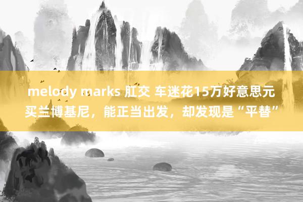 melody marks 肛交 车迷花15万好意思元买兰博基尼，能正当出发，却发现是“平替”