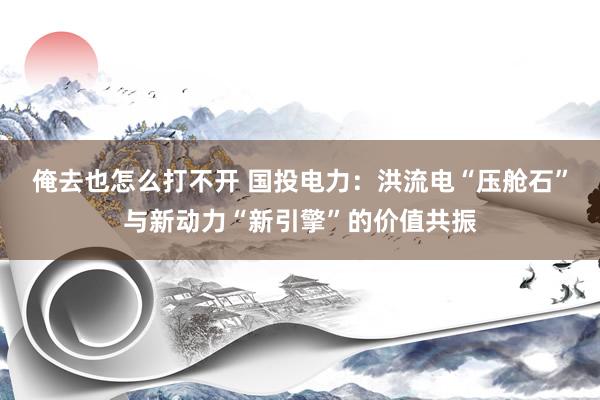 俺去也怎么打不开 国投电力：洪流电“压舱石”与新动力“新引擎”的价值共振