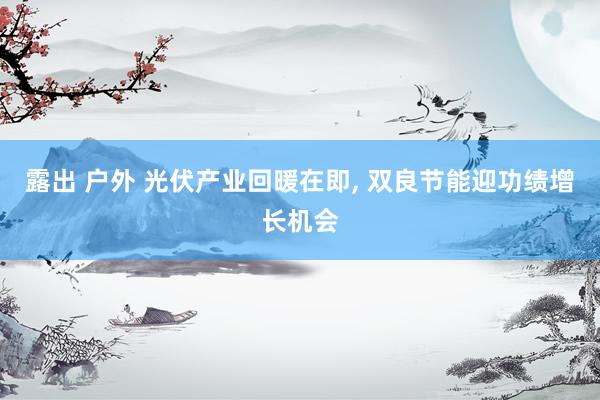 露出 户外 光伏产业回暖在即， 双良节能迎功绩增长机会
