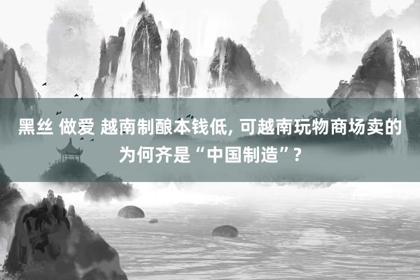 黑丝 做爱 越南制酿本钱低， 可越南玩物商场卖的为何齐是“中国制造”?