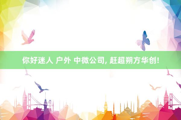 你好迷人 户外 中微公司， 赶超朔方华创!