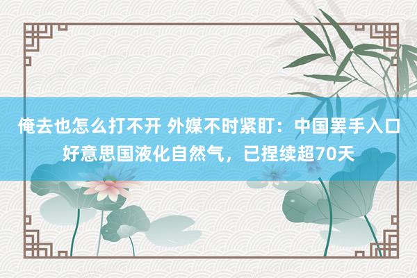 俺去也怎么打不开 外媒不时紧盯：中国罢手入口好意思国液化自然气，已捏续超70天