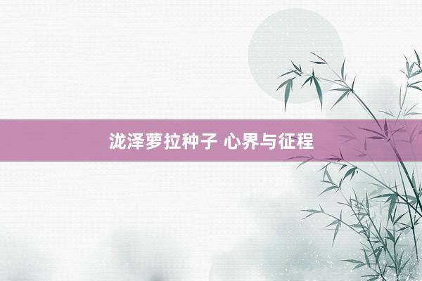 泷泽萝拉种子 心界与征程