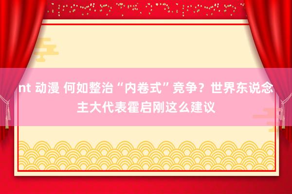 nt 动漫 何如整治“内卷式”竞争？世界东说念主大代表霍启刚这么建议