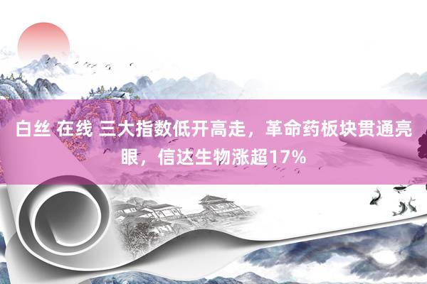 白丝 在线 三大指数低开高走，革命药板块贯通亮眼，信达生物涨超17%
